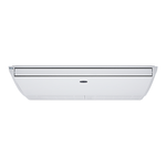 carrier-pt-33539--2-
